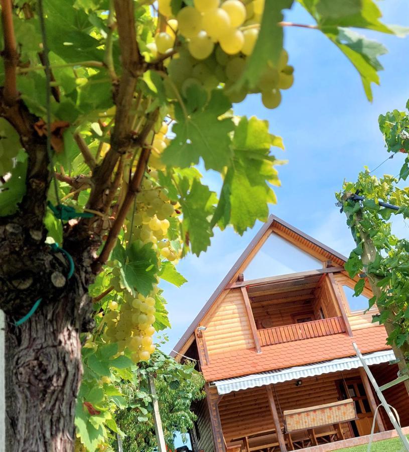 Apartma-Spa Natura Sveti Jurij ob Scavnici Ngoại thất bức ảnh